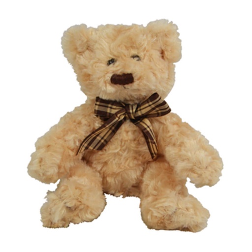 [CA11SB01] 16cm Scruffy Bear Plush (Brown)
