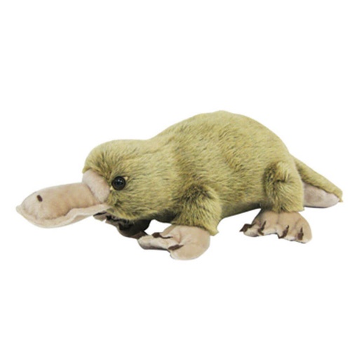 [CA15PP01] 50cm Platypus Plush Animal Toy