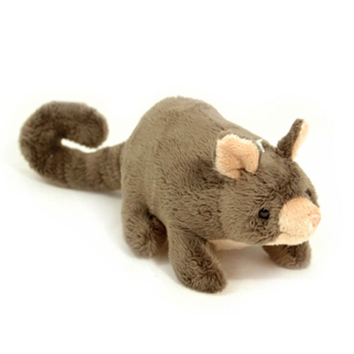 [CA1J3P01] Jumbuck 32cm Possum Plush Toy
