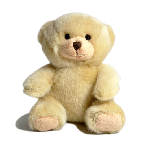 [CA21PS01] 16cm Plush Sitting Bear