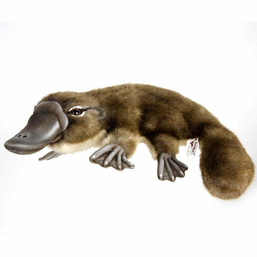 [CA2PLA01] Hansa Platypus Plush (40cm)