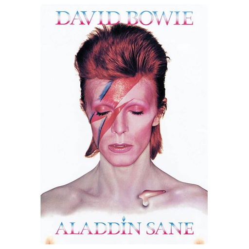 [WV1DBT01] David Bowie Tin Sign