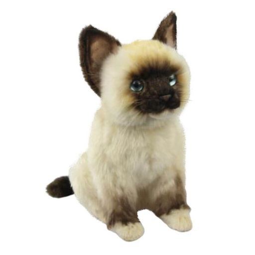 [CA3RDK01] Hansa Rag Doll Kitten (26cm L)