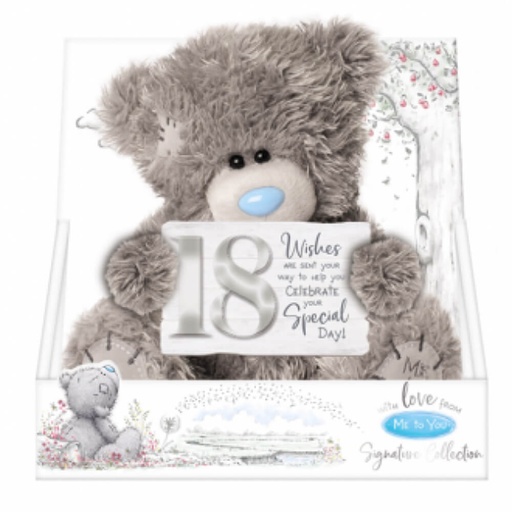 [JR41BP01] Me To You 18th Birthday Plush (2020)